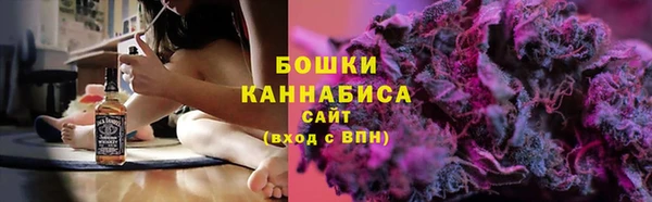 прущие грибы Туринск