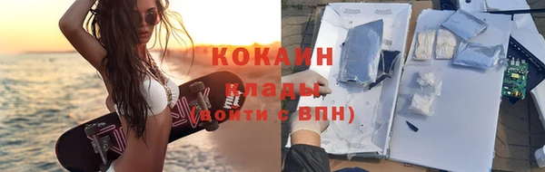 прущие грибы Туринск