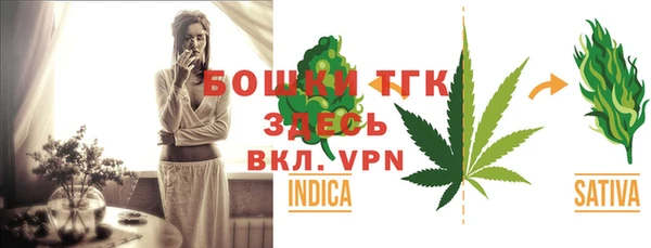 прущие грибы Туринск