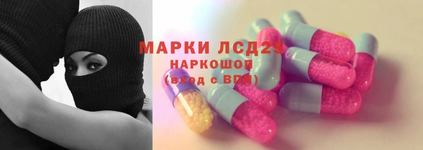 индика Тобольск