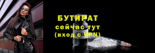 прущие грибы Туринск