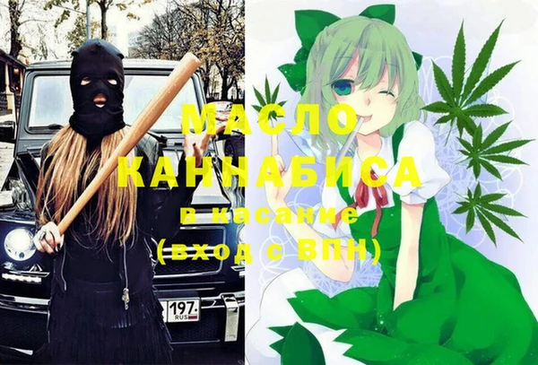 индика Тобольск